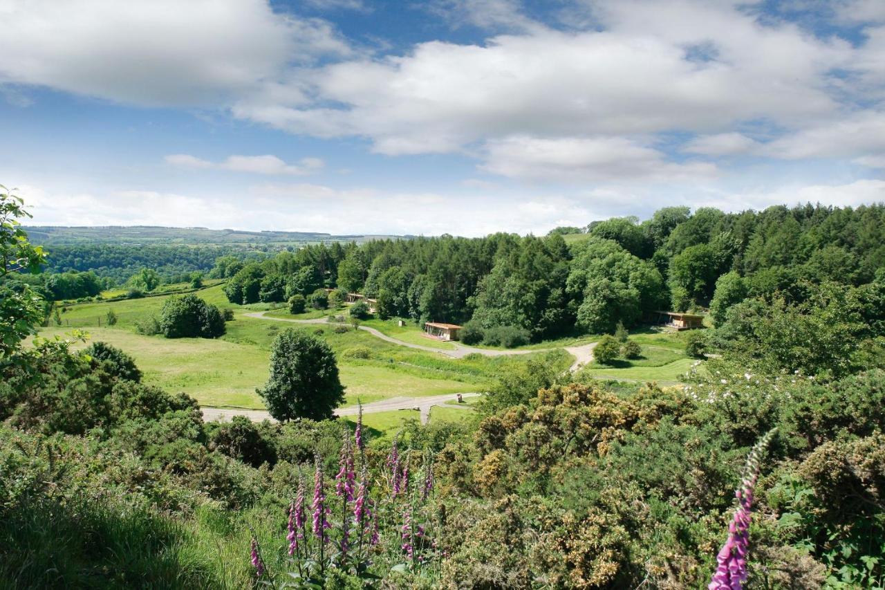 Yorkshire Dales Lodge 3 Family 3 Bed Richmond (North Yorkshire) Exterior foto